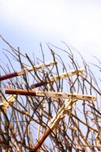 The Jestick Tree A photograph art piece where jesticks are branches of a tree in the wind
